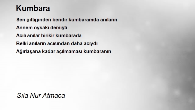 Sıla Nur Atmaca