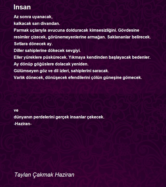 Taylan Çakmak Haziran