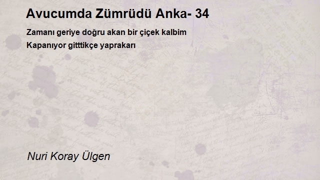 Nuri Koray Ülgen