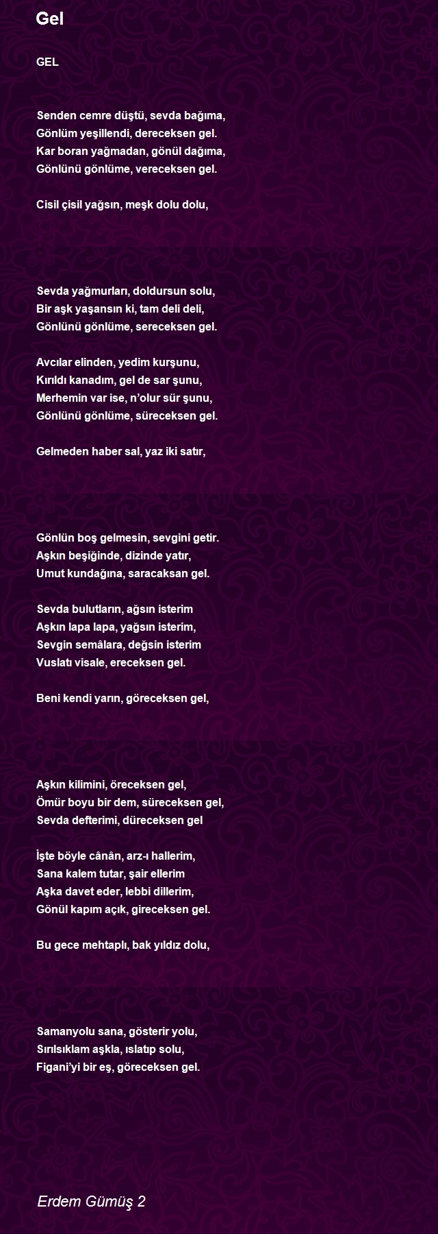 Erdem Gümüş 2