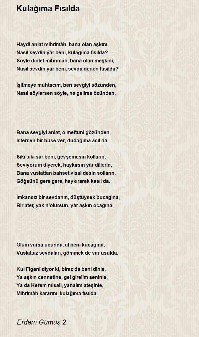 Erdem Gümüş 2