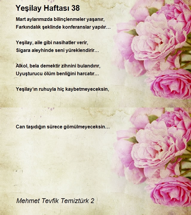 Mehmet Tevfik Temiztürk 2