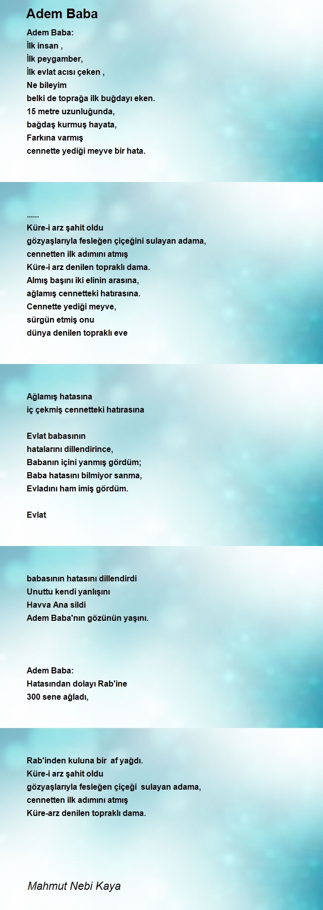 Mahmut Nebi Kaya