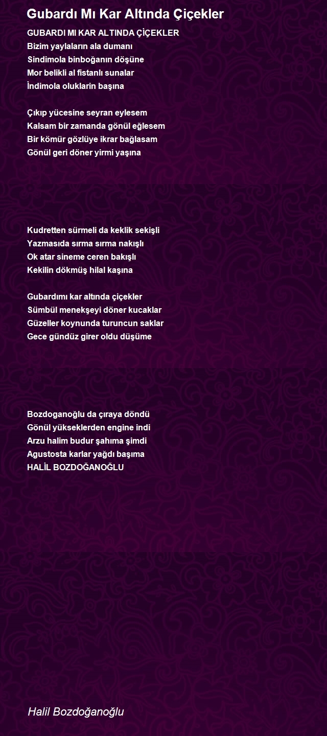 Halil Bozdoğanoğlu