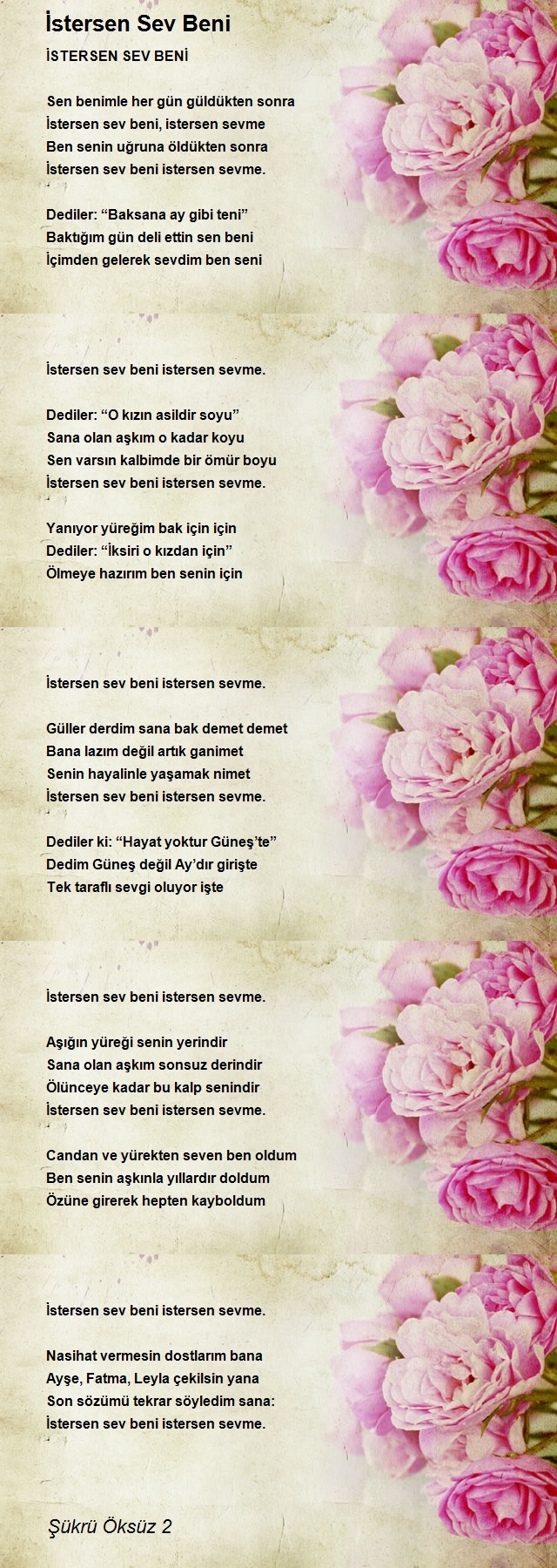 Şükrü Öksüz 2