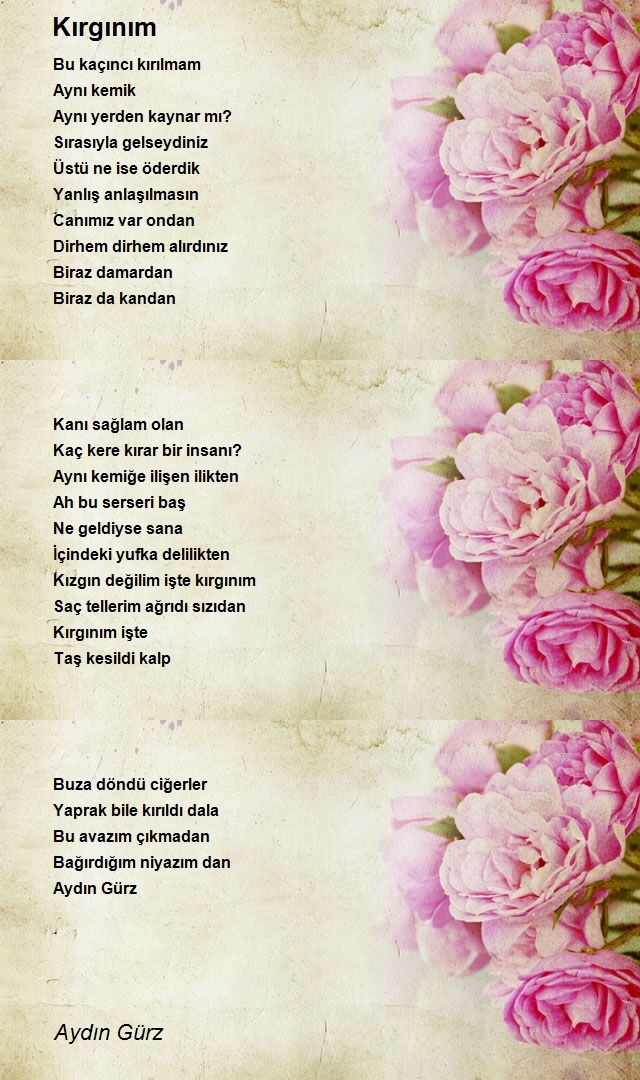 Aydın Gürz