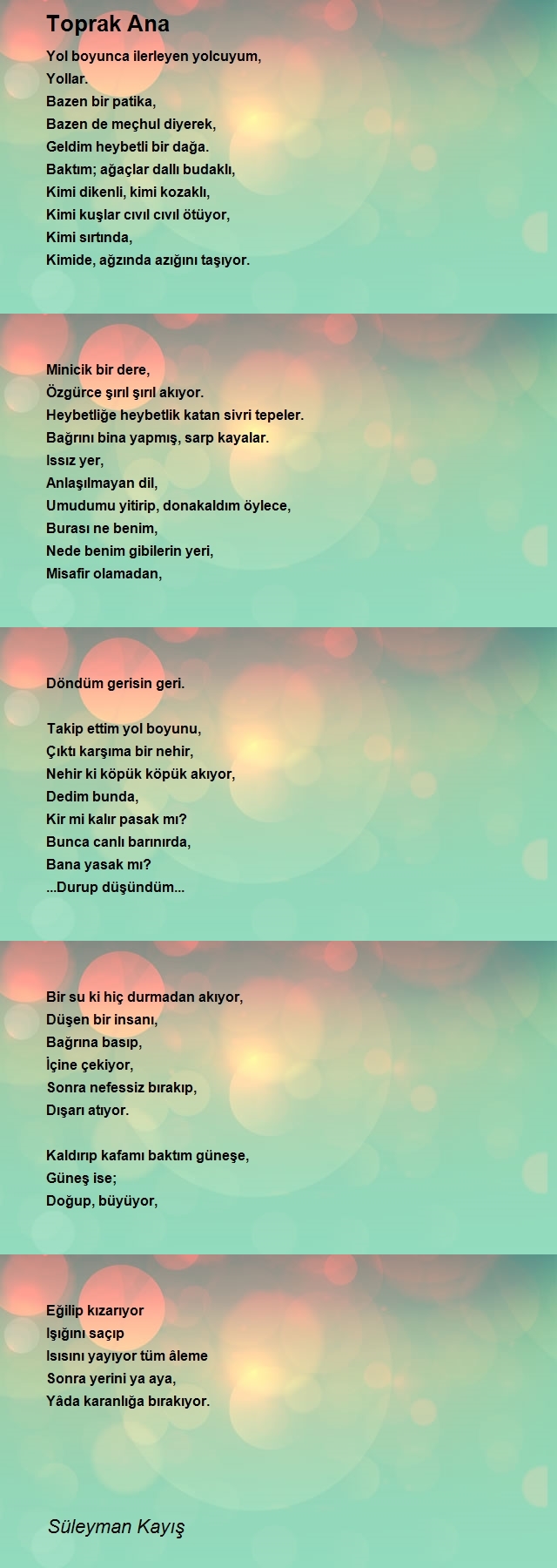 Süleyman Kayış