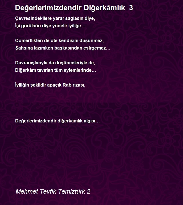 Mehmet Tevfik Temiztürk 2
