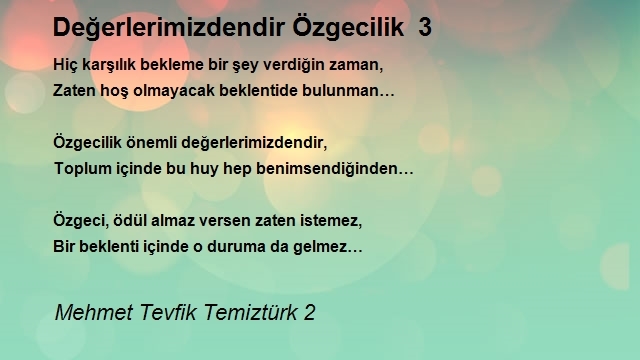Mehmet Tevfik Temiztürk 2