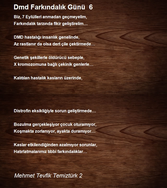 Mehmet Tevfik Temiztürk 2