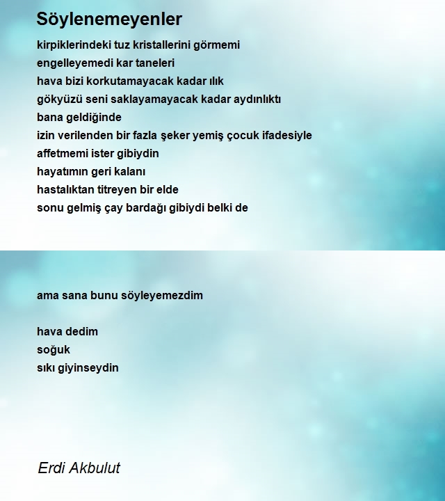 Erdi Akbulut