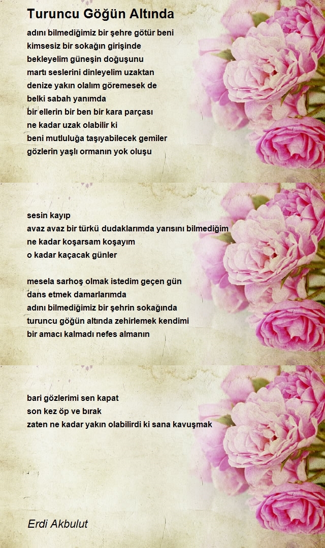 Erdi Akbulut