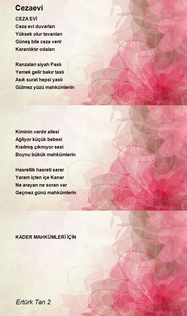 Ertürk Tan 2