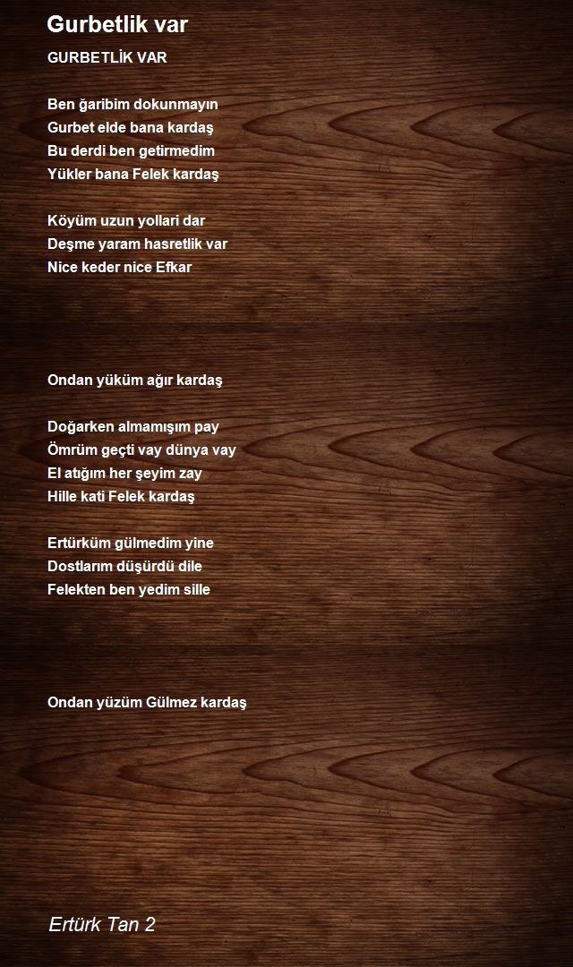 Ertürk Tan 2