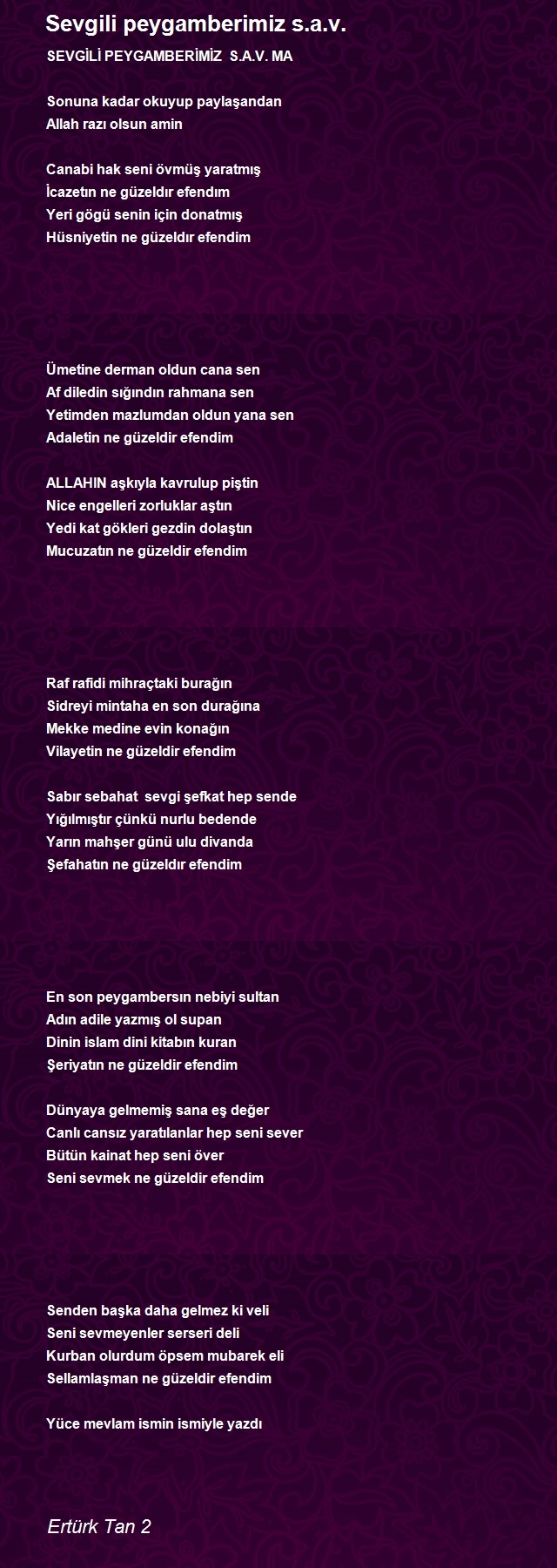 Ertürk Tan 2