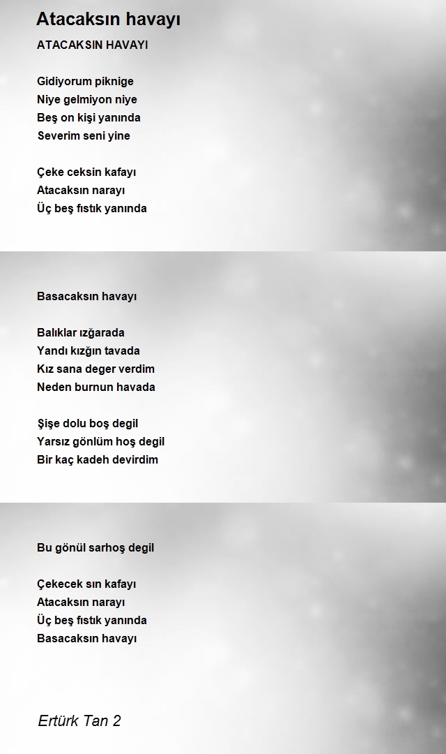 Ertürk Tan 2