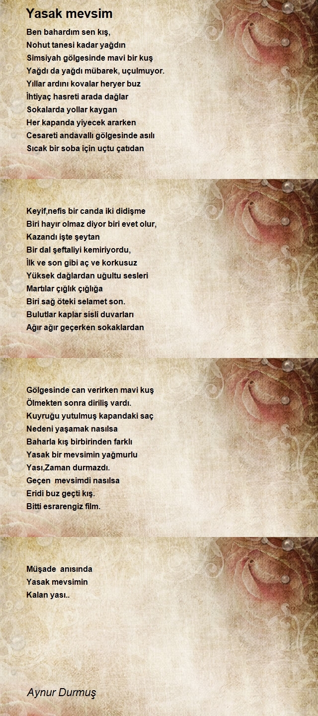 Aynur Durmuş