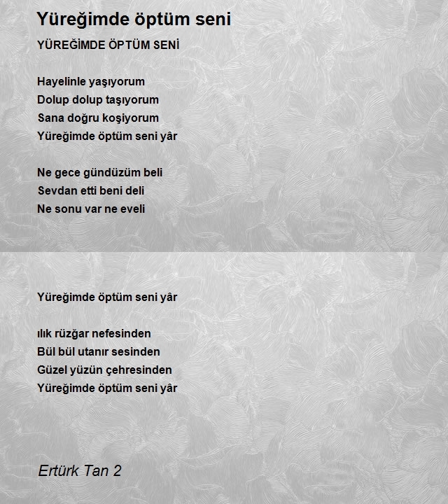 Ertürk Tan 2
