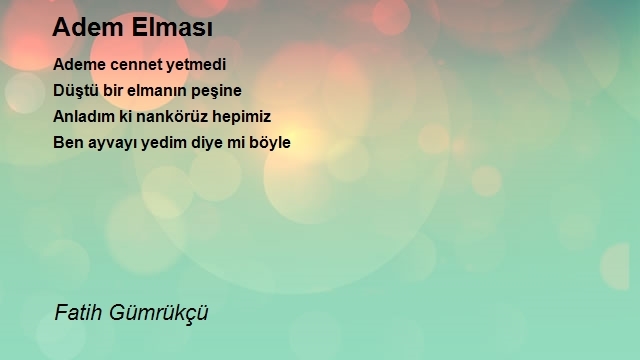Fatih Gümrükçü