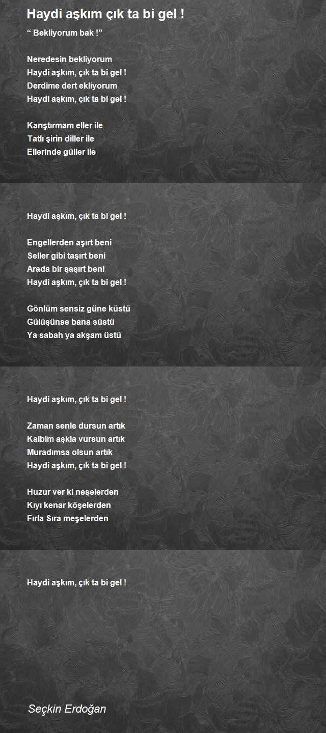 Seçkin Erdoğan