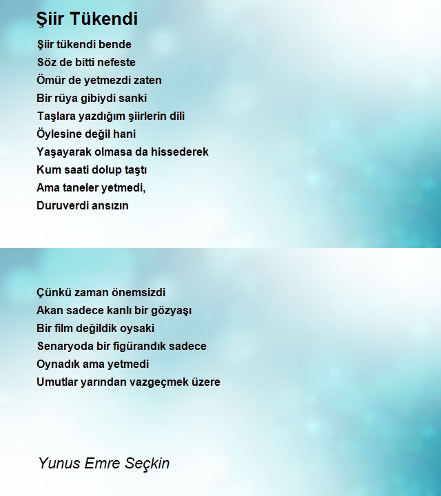 Yunus Emre Seçkin