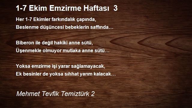 Mehmet Tevfik Temiztürk 2