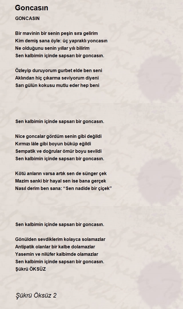 Şükrü Öksüz 2
