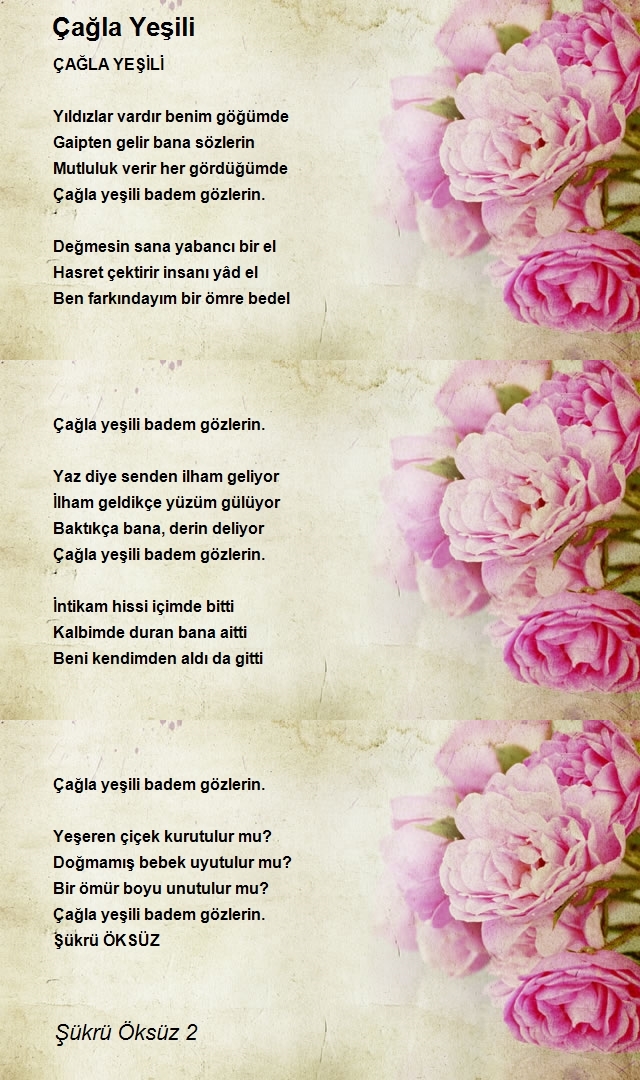 Şükrü Öksüz 2