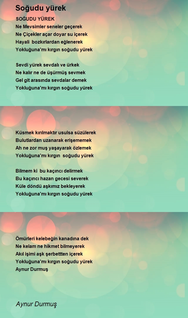 Aynur Durmuş