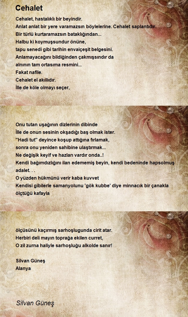 Silvan Güneş