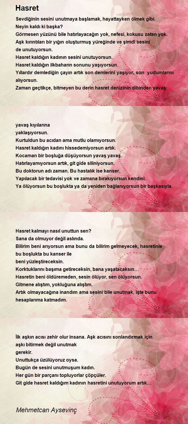 Mehmetcan Aysevinç