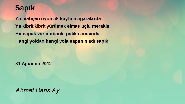 Ahmet Baris Ay