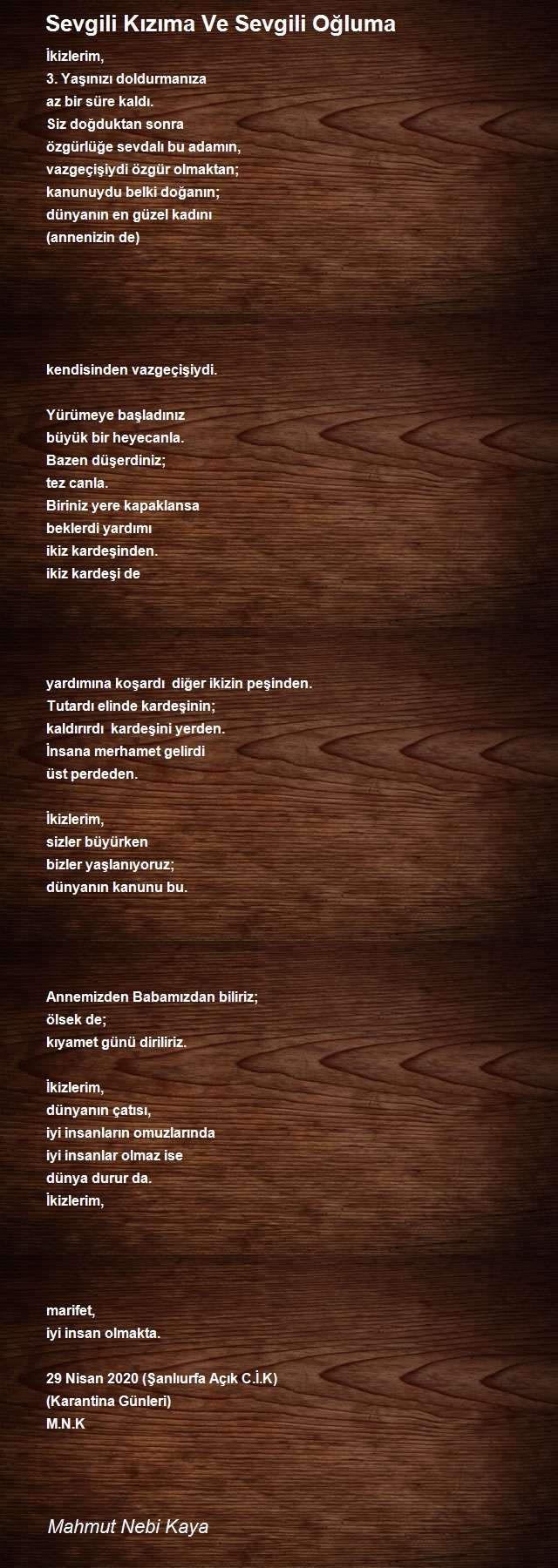 Mahmut Nebi Kaya
