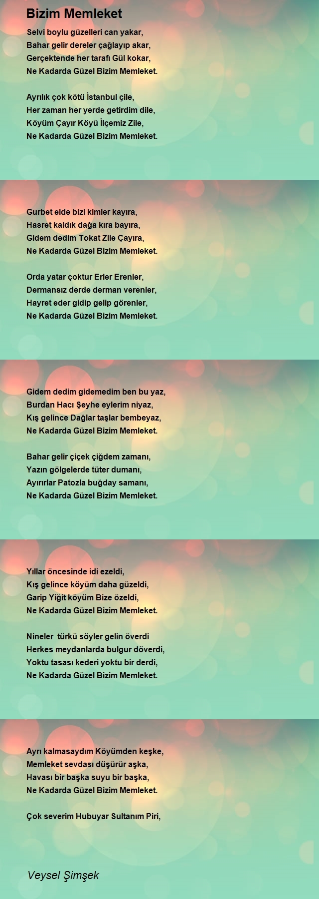 Veysel Şimşek