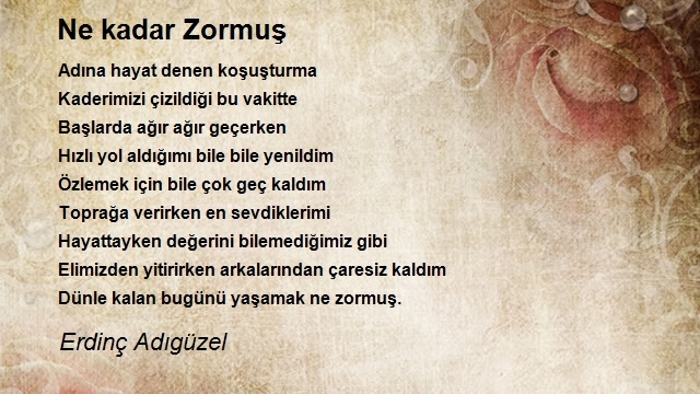 Erdinç Adıgüzel