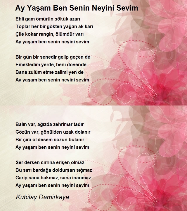 Kubilay Demirkaya