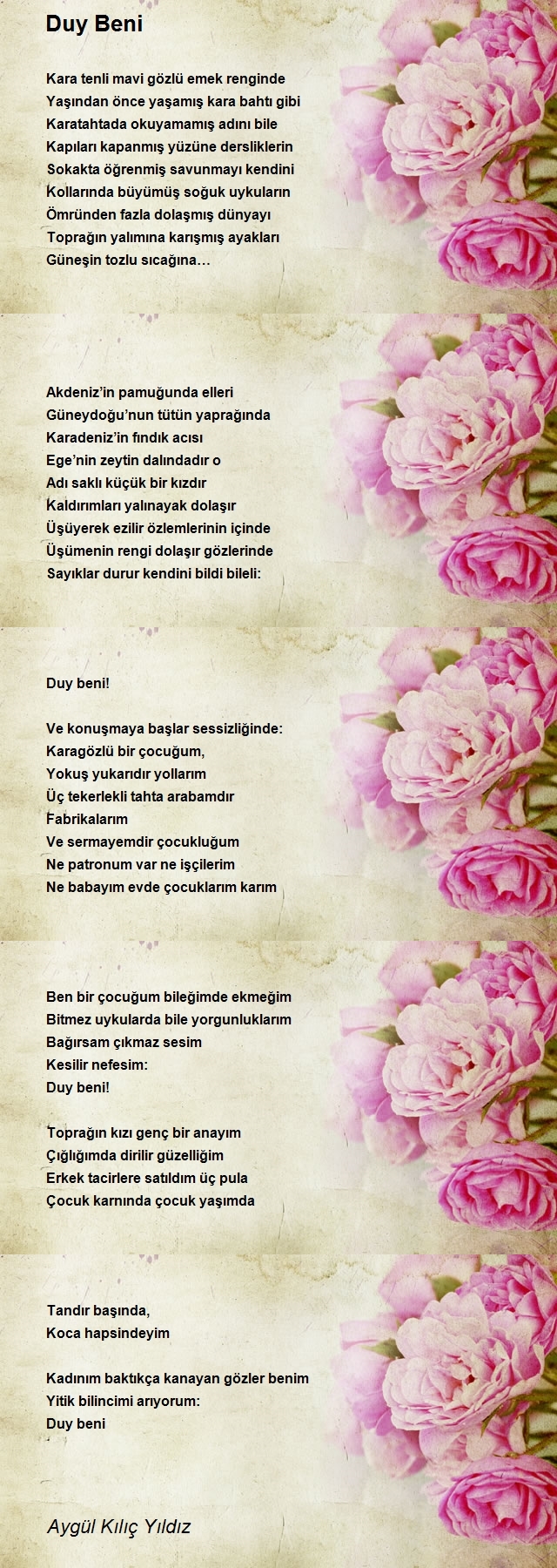 Aygül Kılıç Yıldız