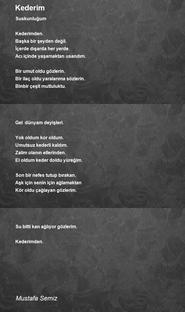 Mustafa Semiz