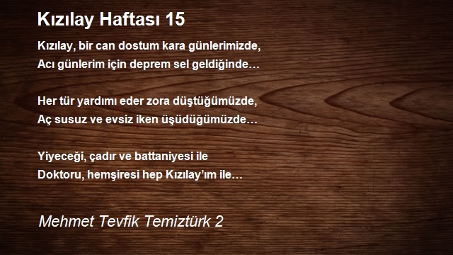 Mehmet Tevfik Temiztürk 2