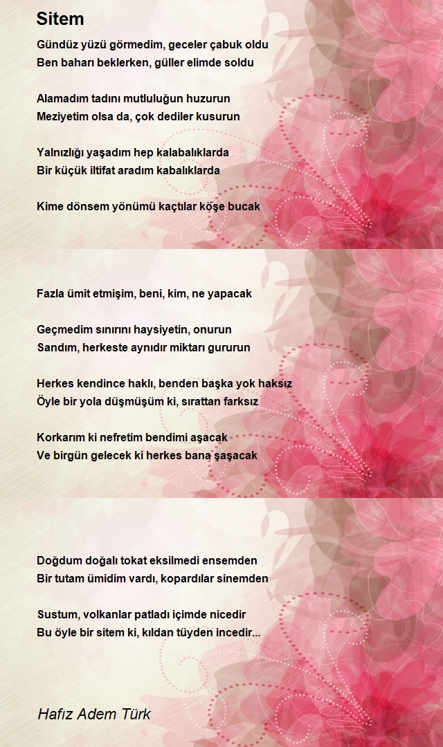 Hafız Adem Enes Türk