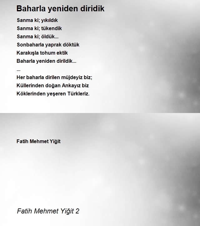 Fatih Mehmet Yiğit 2