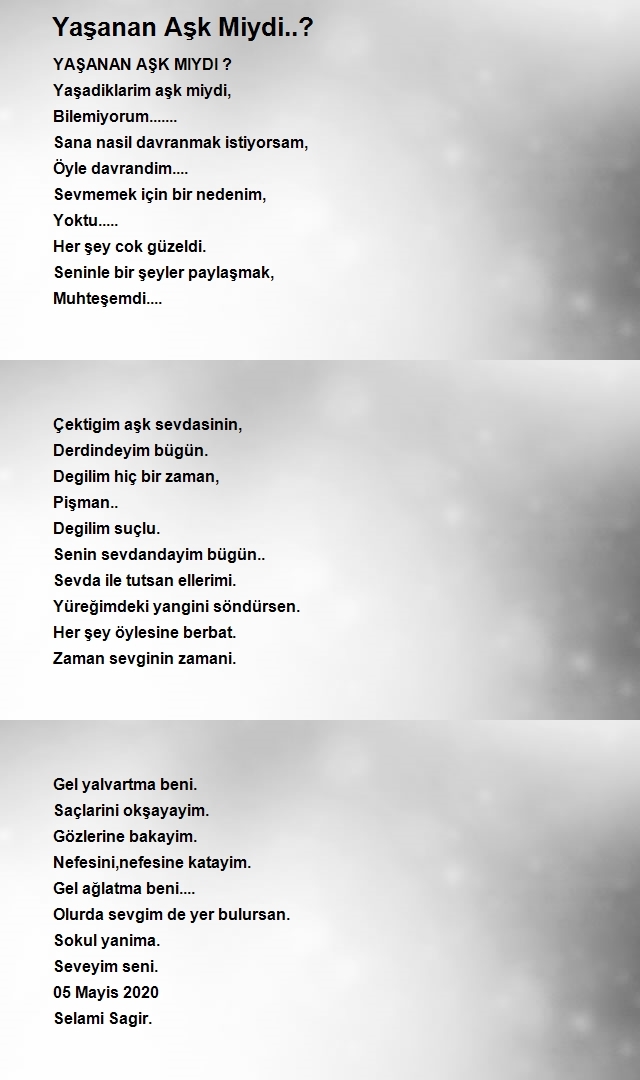 Selami Sagir 2