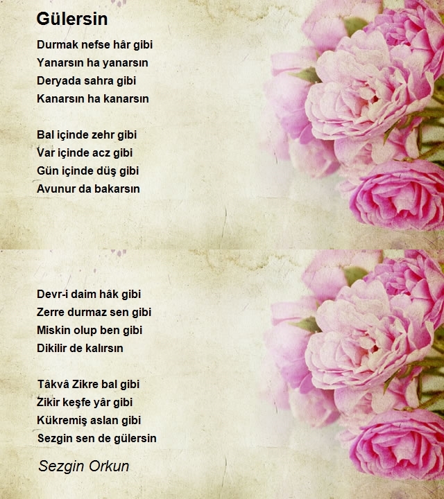 Sezgin Orkun