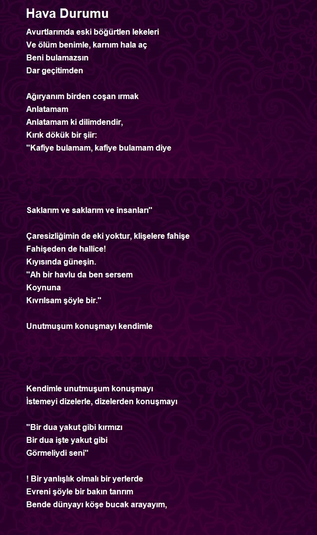 Ekrem Naif Tek