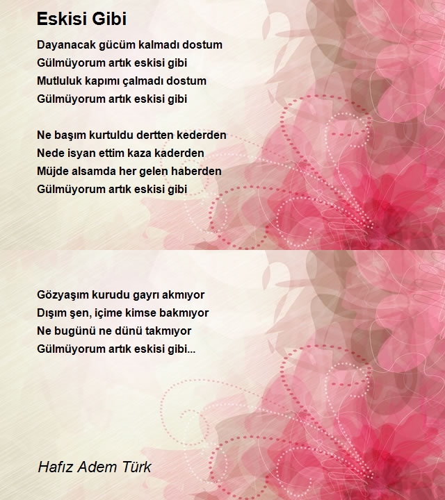 Hafız Adem Enes Türk