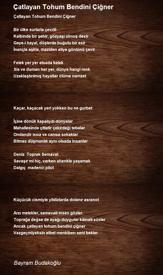 Bayram Budakoğlu