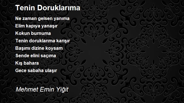 Mehmet Emin Yiğit