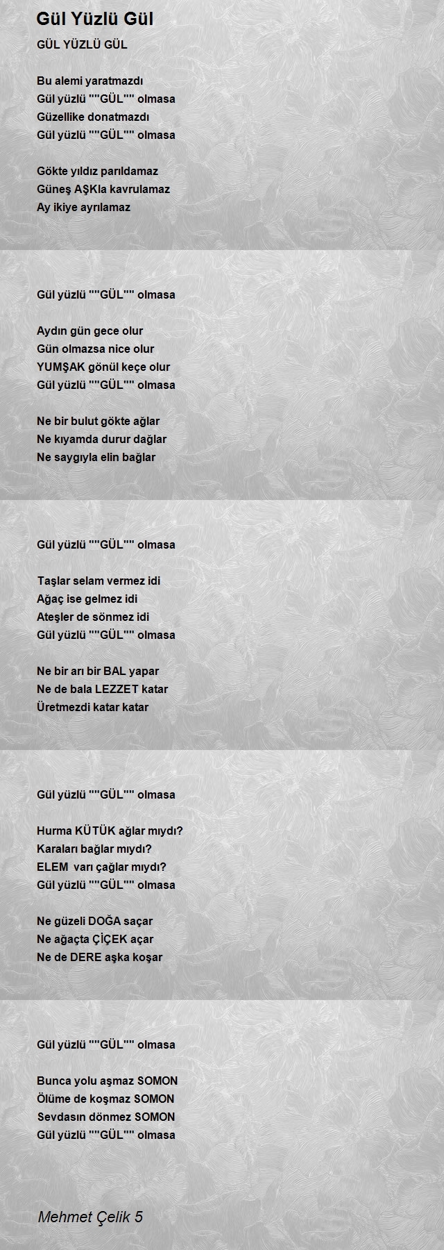 Mehmet Çelik 5