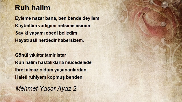 Mehmet Yaşar Ayaz 2
