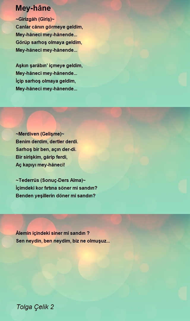 Tolga Çelik 2